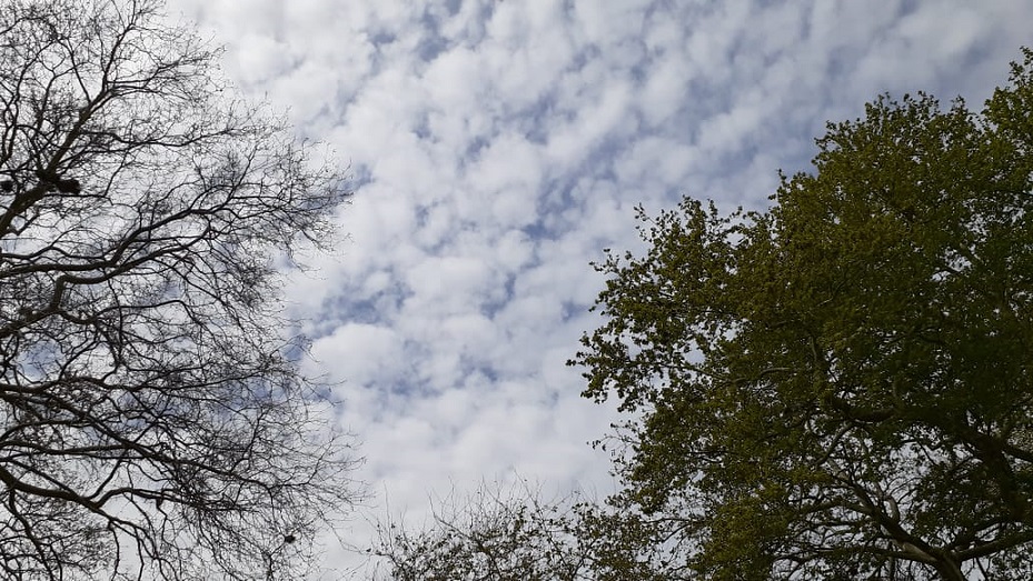 I nxehti afrikan prek Shqipërinë, temperatura deri në 30 gradë. Ja si parashikohen ditët e para të Majit