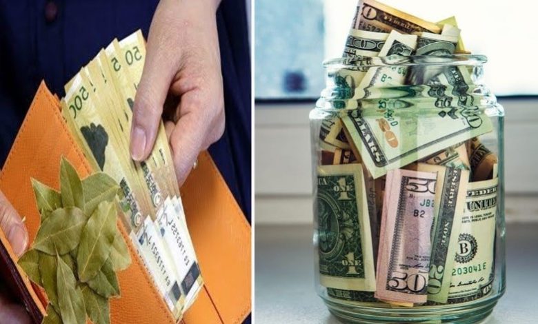 E kemi të gjíthë në shtëpi! Vendosni një gjethe si kjo në pòrtofòlin tuaj dhe s’do mbèteni kurrë pa lekë