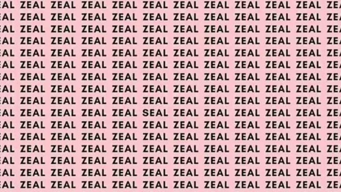 Iluzion optik, në mesin e qindra “zeal” a mund ta gjeni fjalën “seal”?